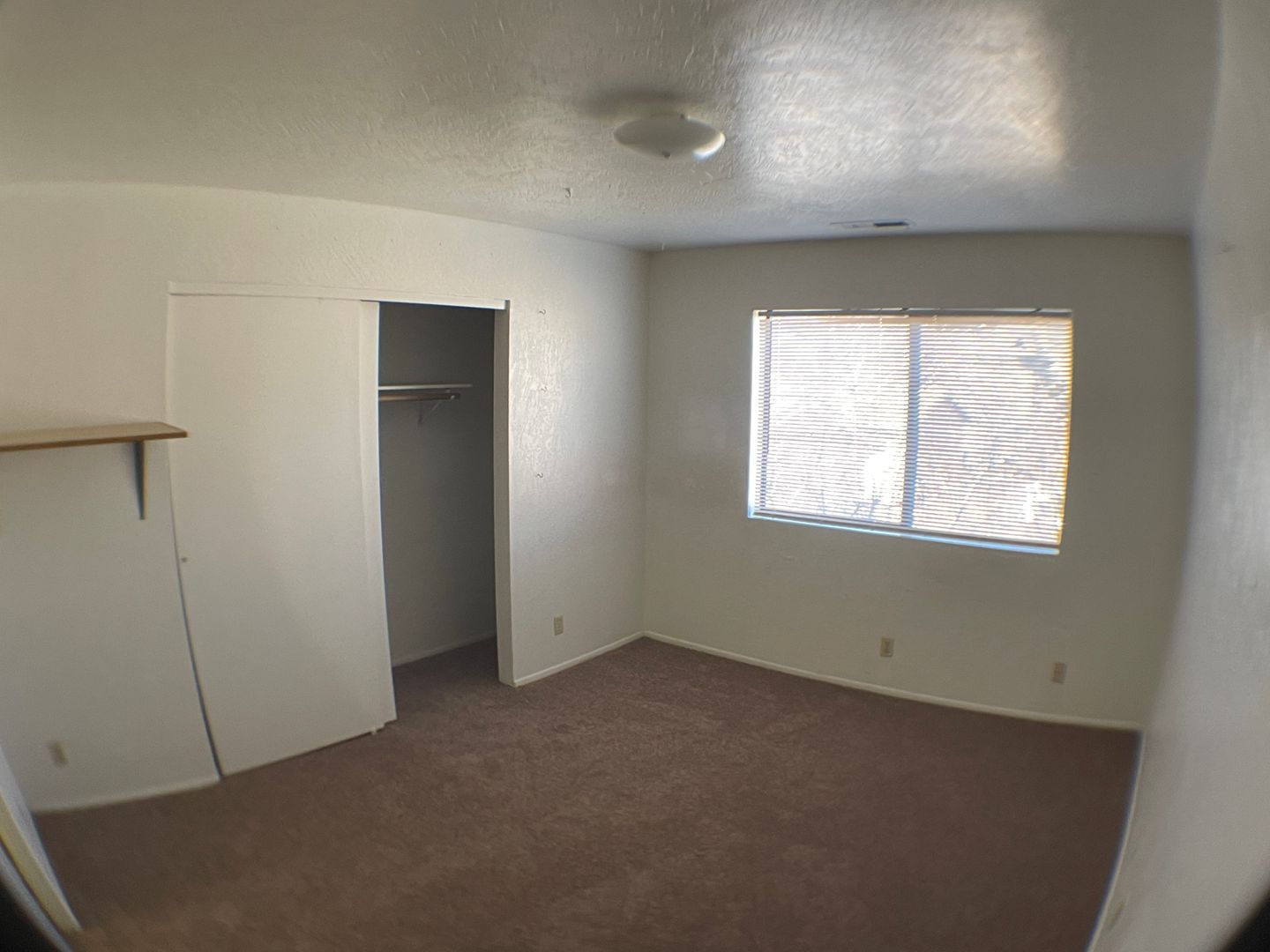 Flagstaff Apartment: 101 S. Park St.