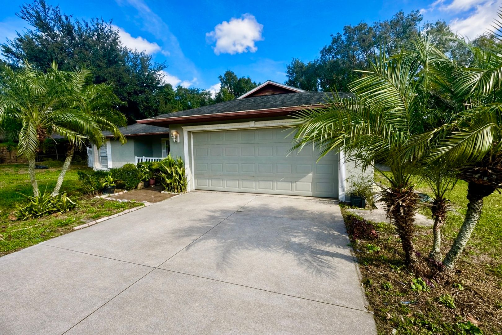 Orlando House: 1701 Martinsville Court