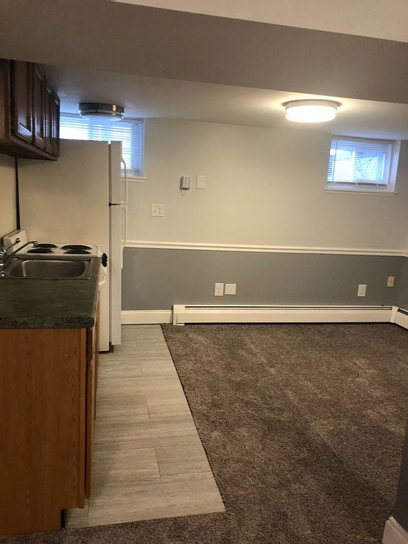Ypsilanti Apartment: 238 N Summit