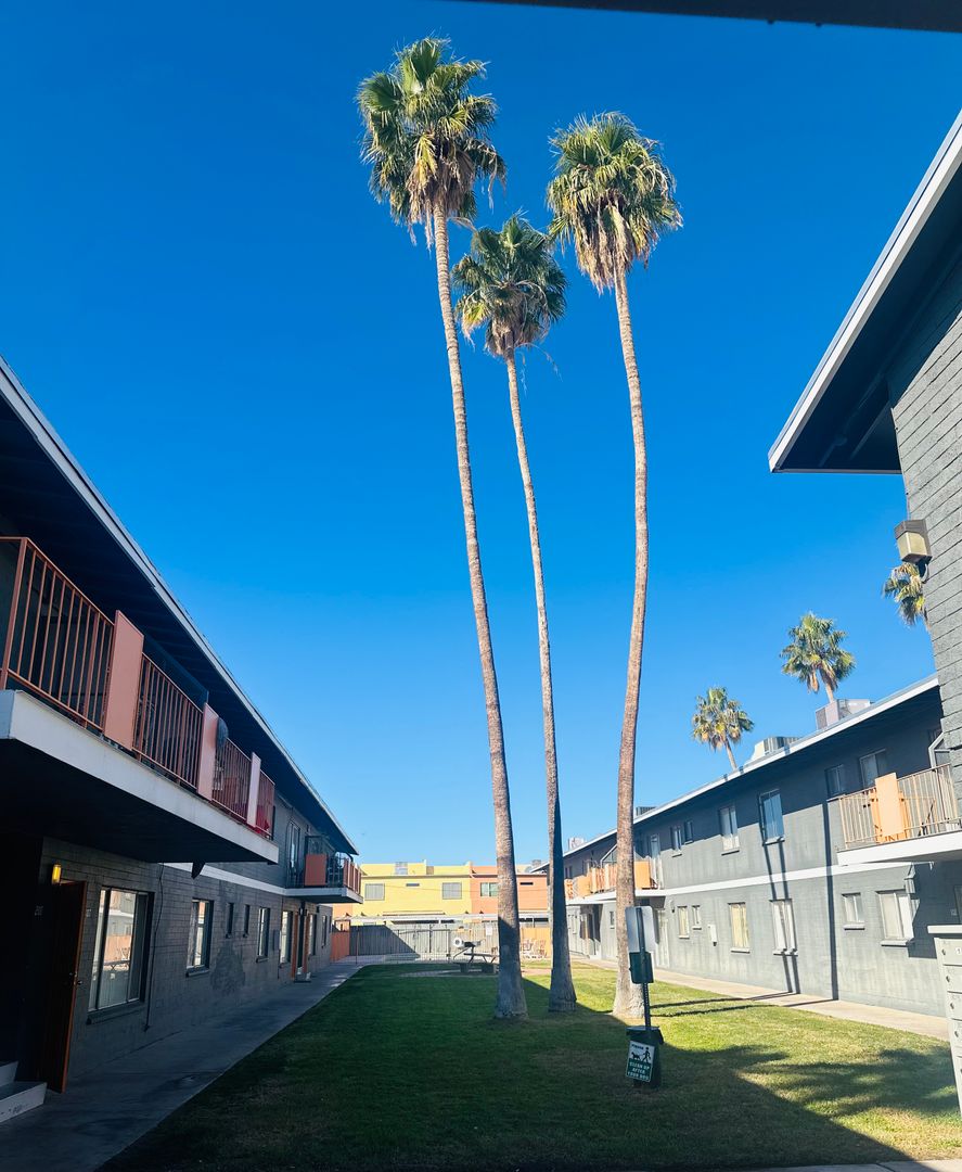 Tucson Apartment: 811 N Alvernon Way