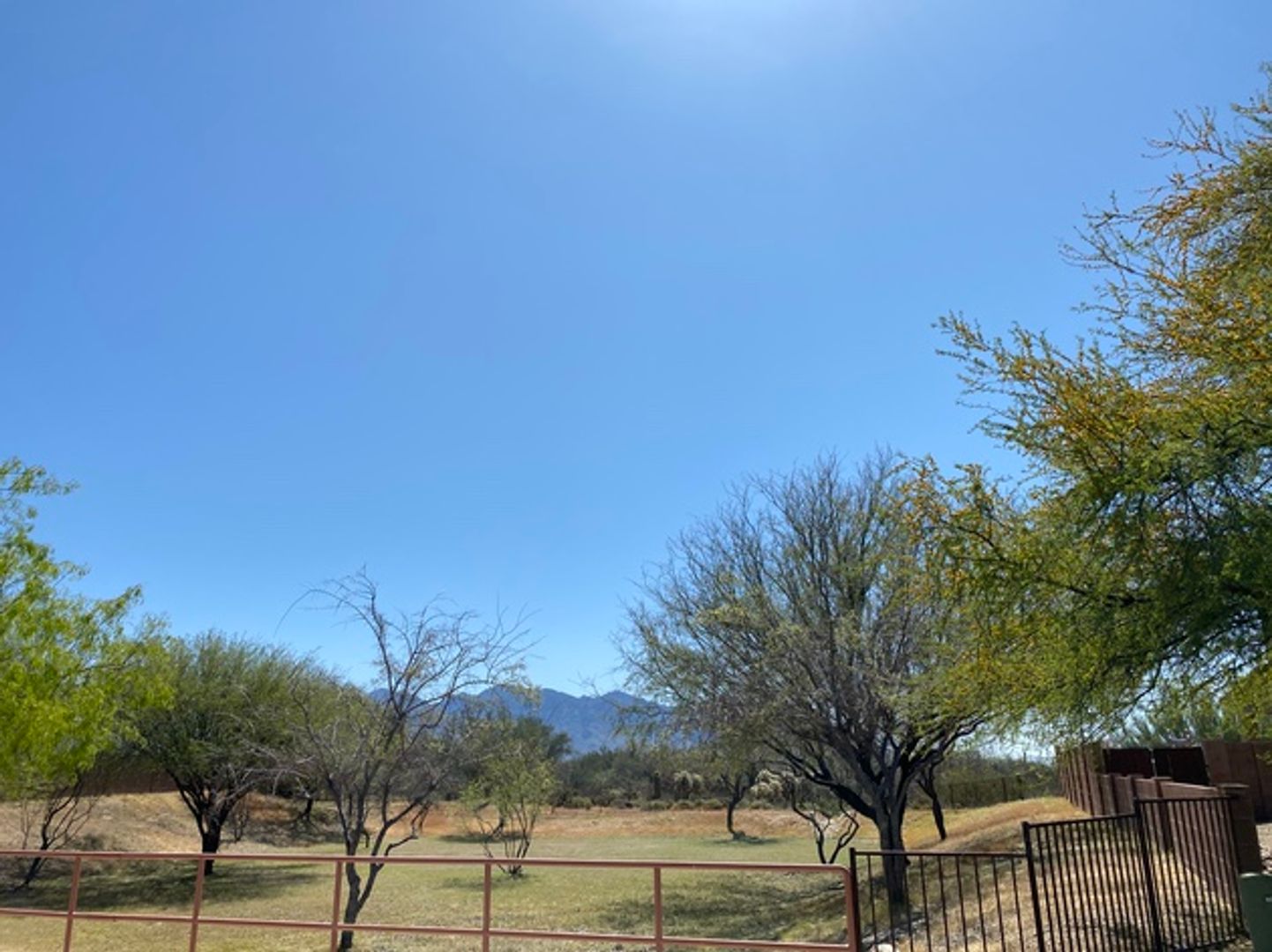 Marana House: 3411 W Tailfeather Dr