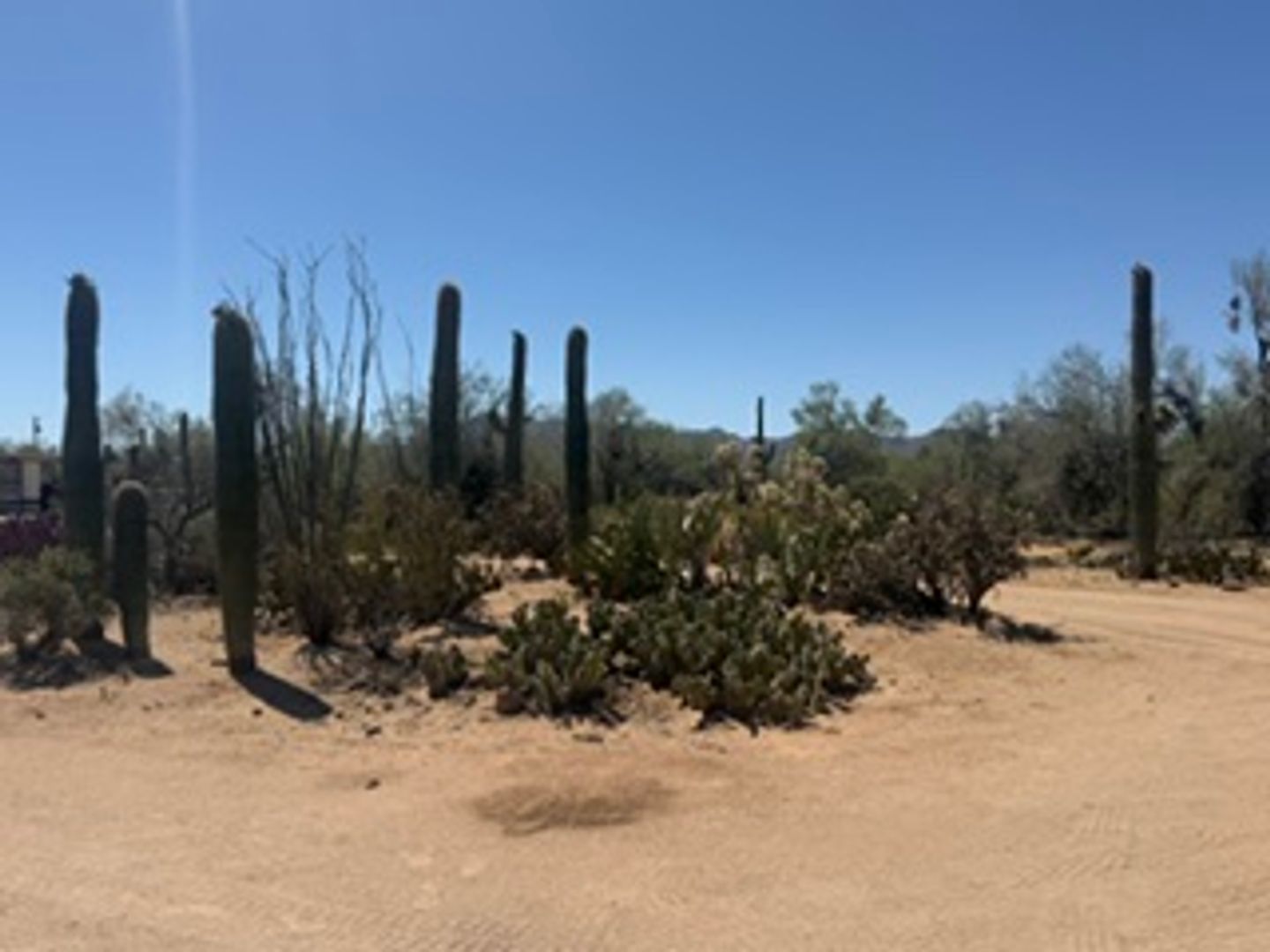 Tucson Apartment: 6820 N. Blue Blvd
