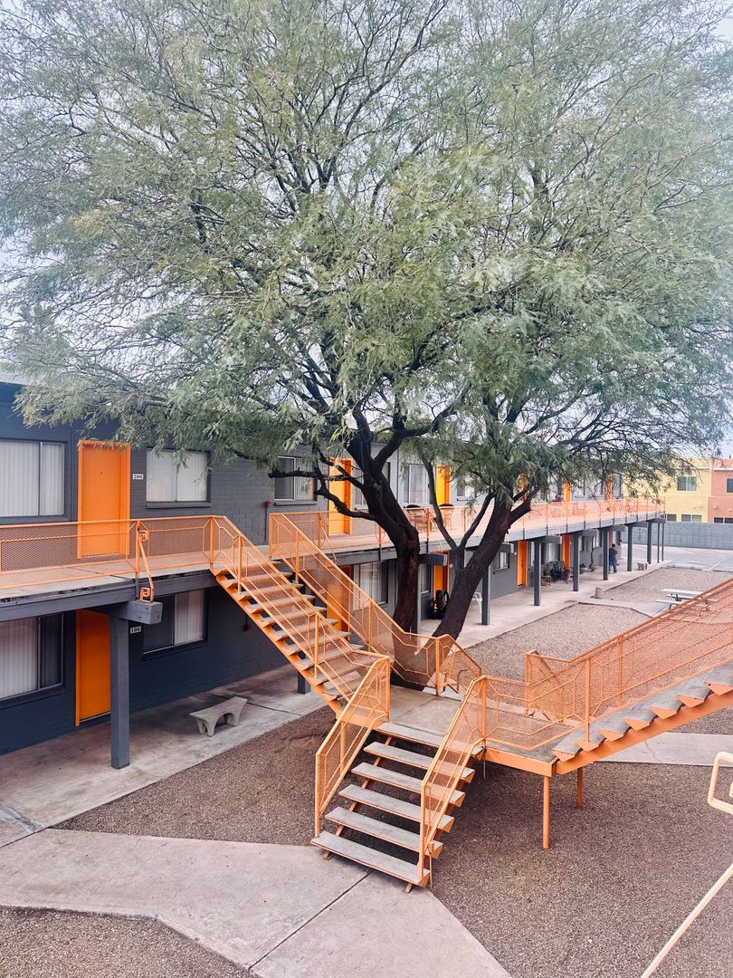 Tucson Apartment: 811 N Alvernon Way