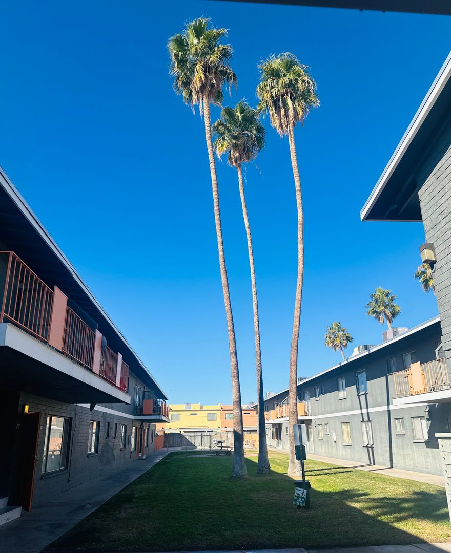 Tucson Apartment: 811 N Alvernon Way