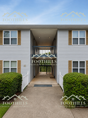 Cozy 1-Bed Lower-Level Apartment in Newport Commons – Prime Location!