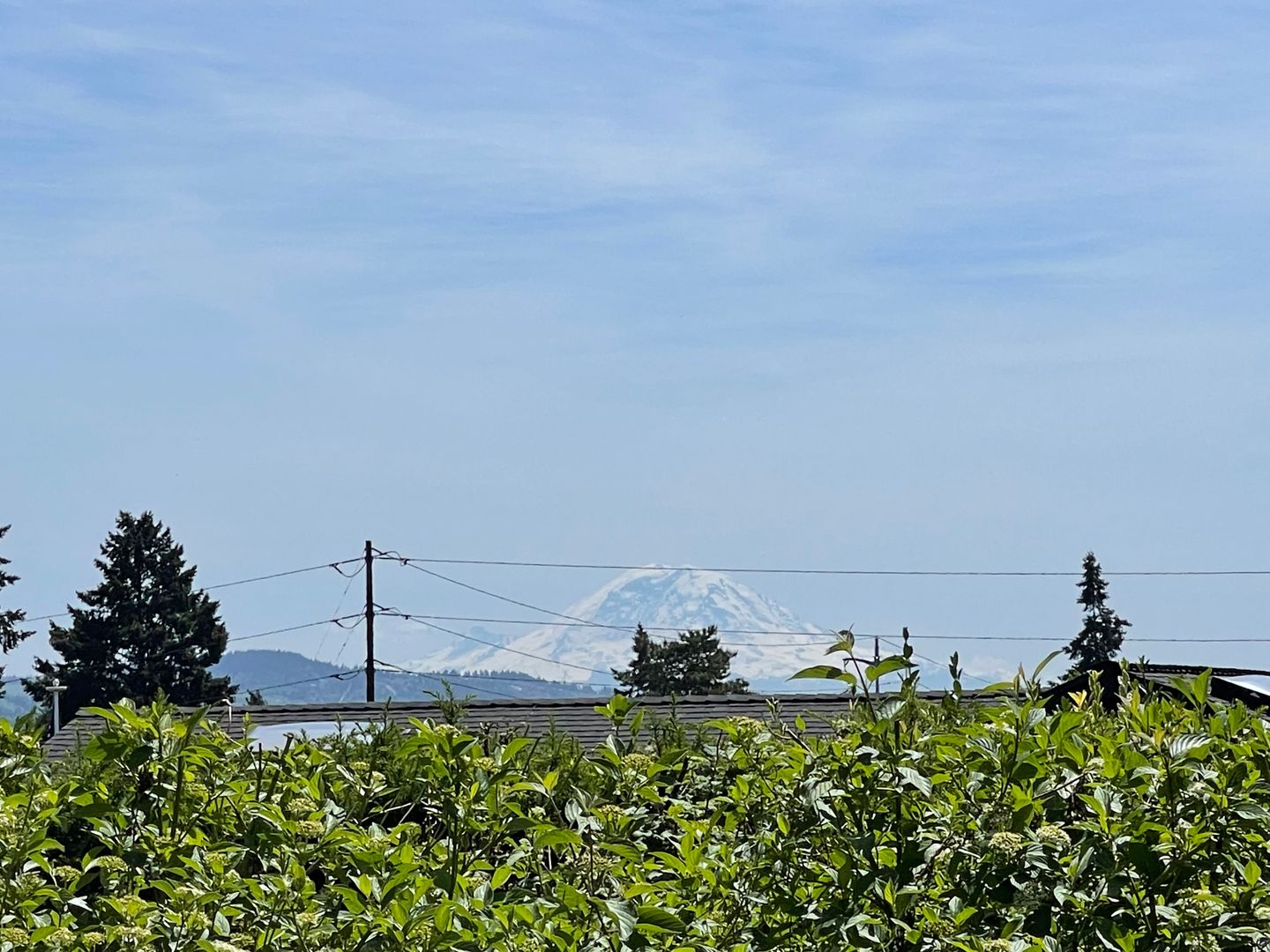 Bellevue House: 9815 Vineyard Crest