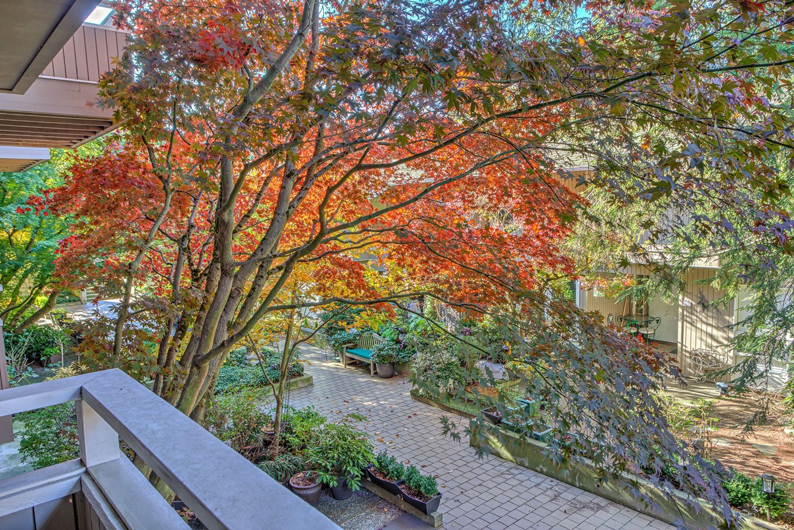Bellevue Condo: 832 100th Ave NE #104 (Bellevue Park)