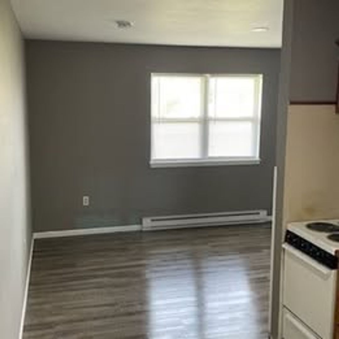 Updated 1BR | Water & Trash Included | Cats & Dogs Welcome | Flexible Lease | Stockton MO 8 of 12