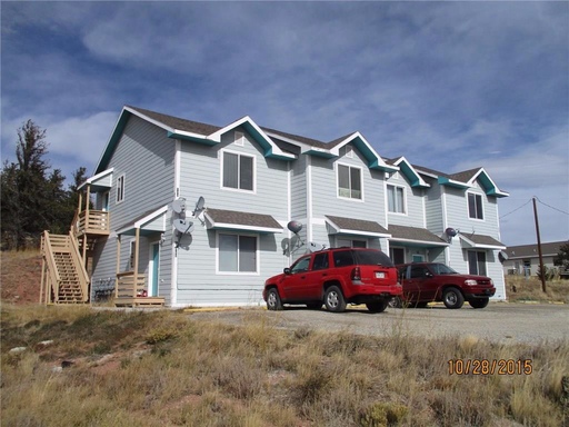 Extra Storage! Fairplay 1-Bedroom! Walk to town, washer/dryer, pets negotiable! – photo 1