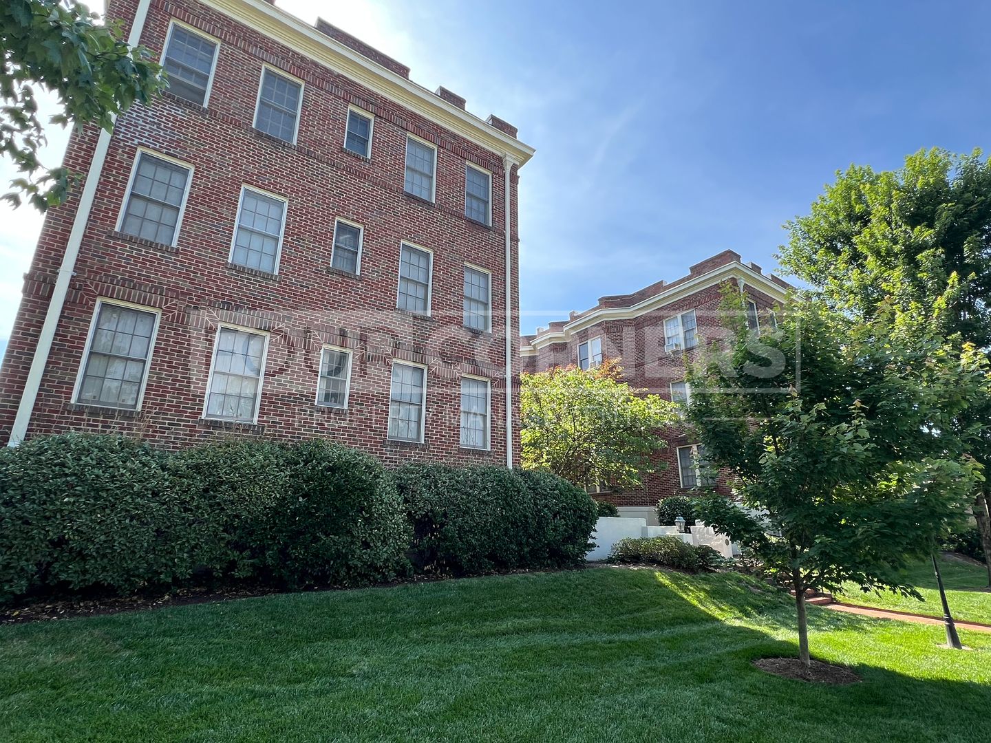 Greensboro Apartment: 828 N Elm St