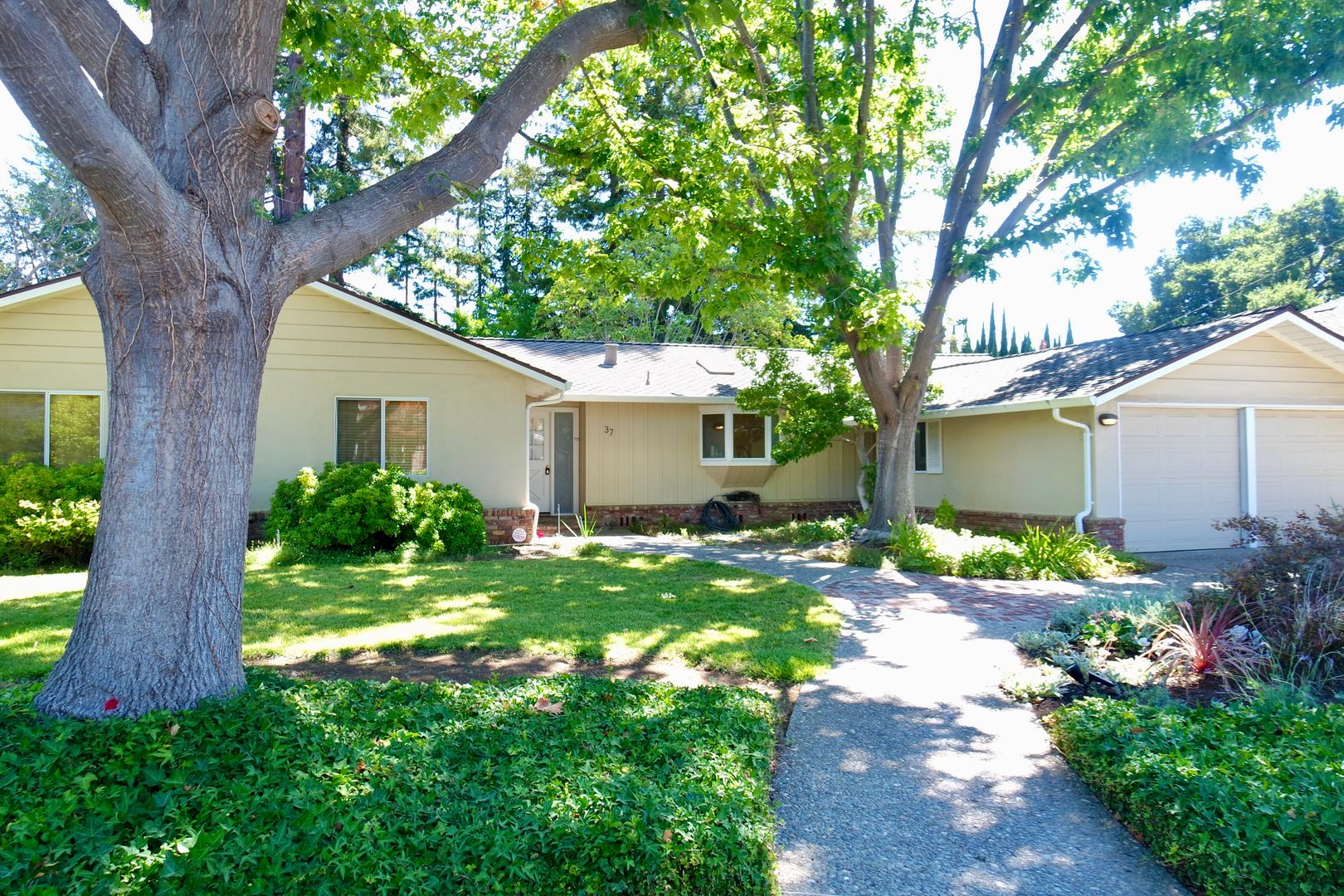 Los Altos House: 37 N. Avalon Dr.