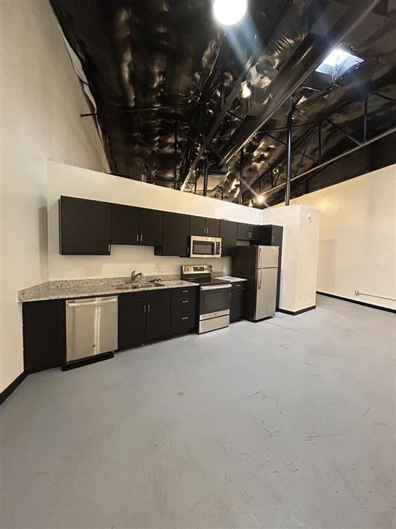 Dallas Apartment: 2007 S Ervay Street