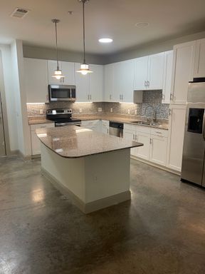 Stylish Renovated One Bedroom in the Historical Bishop Arts District! – photo 1