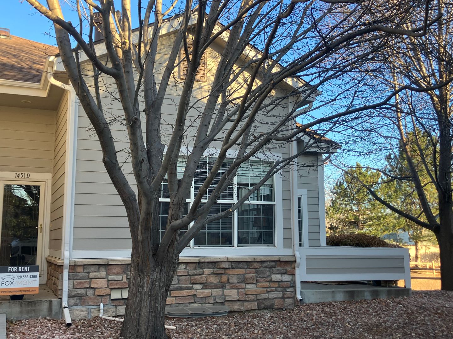 Longmont Townhome: 1451 Whitehall Drive, Unit D