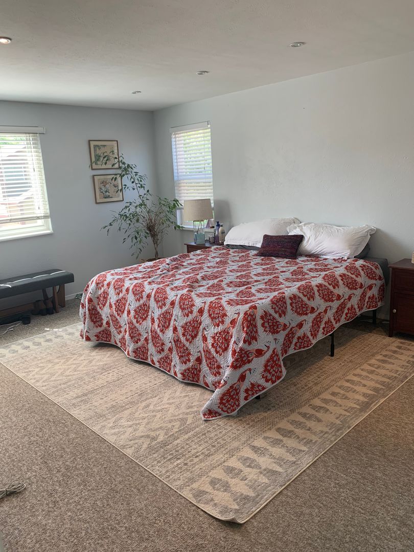 3838 Fredericks Court 6 of 12