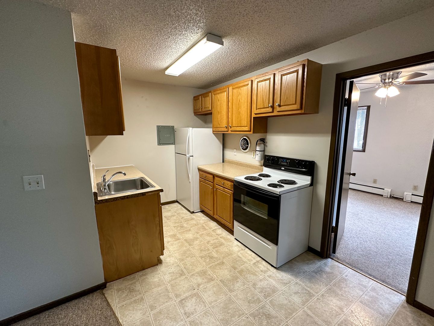 Ames Apartment: 321 Stanton Ave
