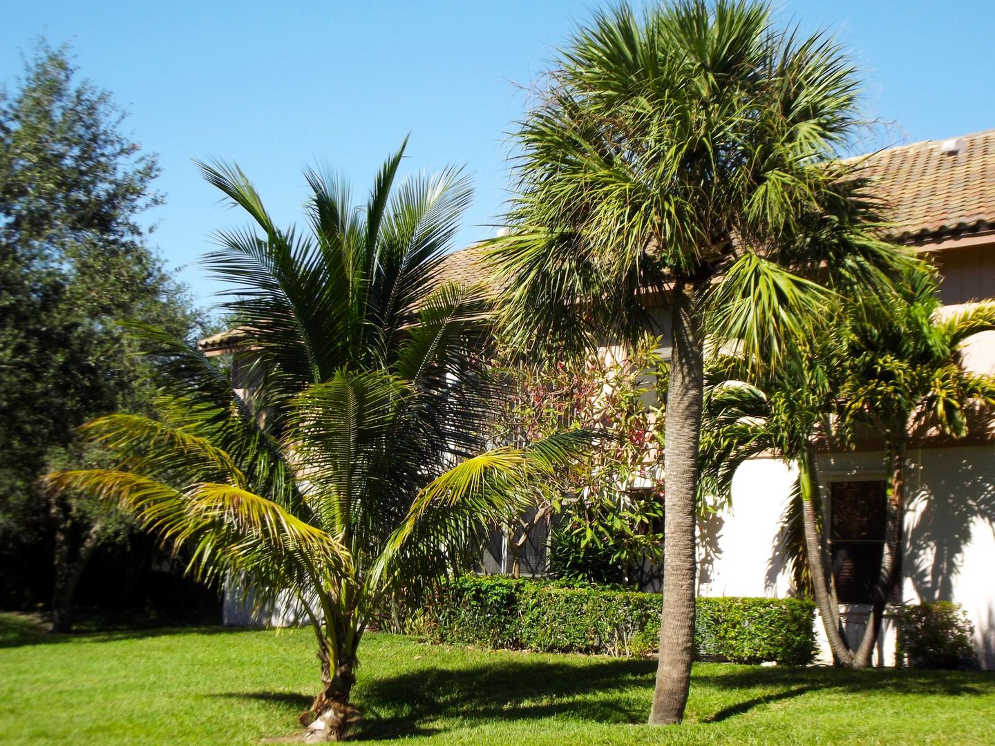 BOCA RATON Townhome: 3355 JAYWOOD TER # 2140