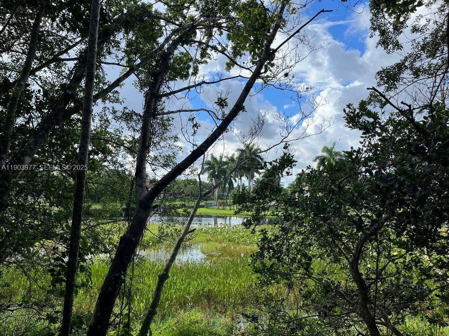 WESTON House: 3817 TREE TOP DR #0