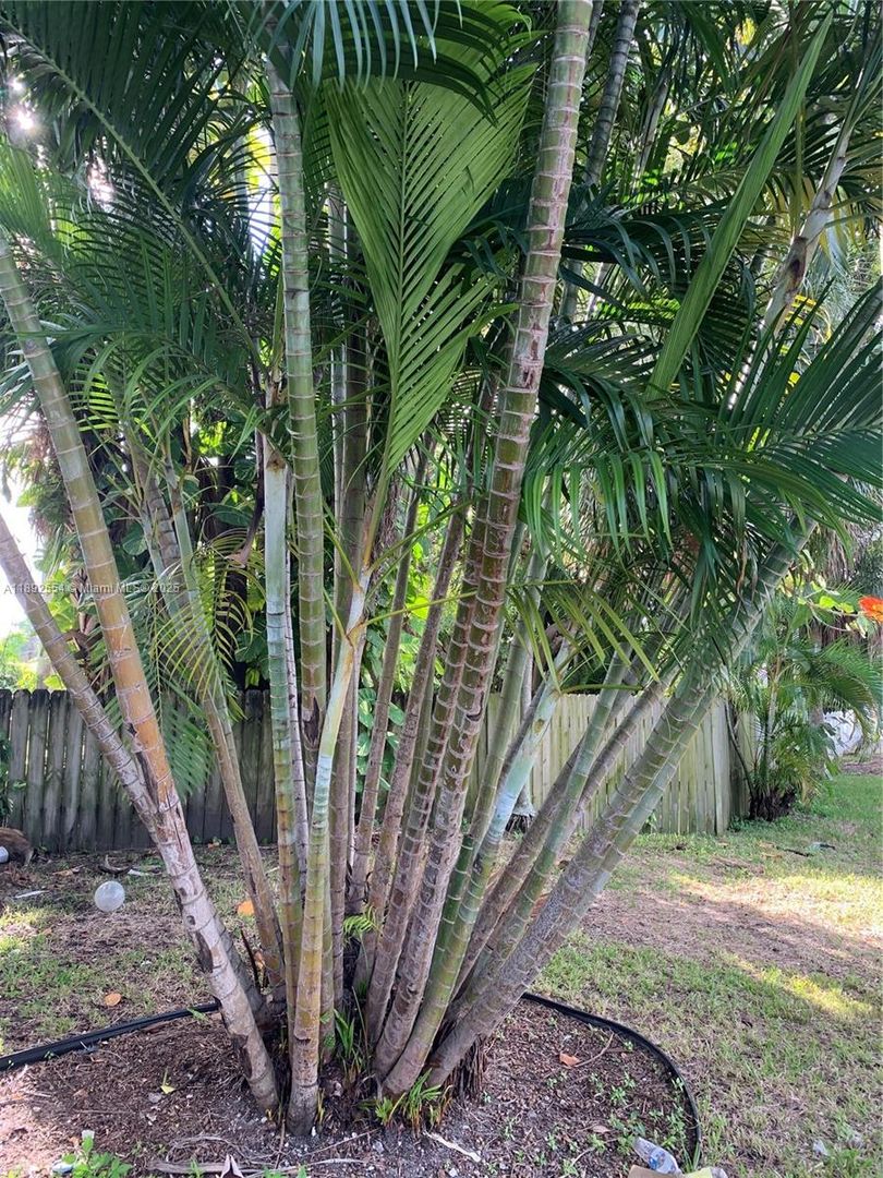 DANIA House: 228 SE PARK ST