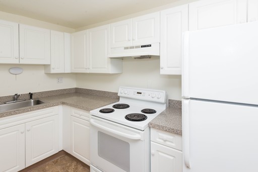 Cute studio in Whitneyville – photo 1