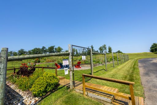 17137 Branched Oak Rd, Dumfries, VA 22026