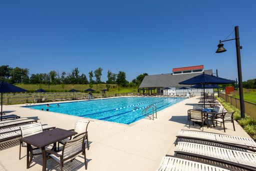 17137 Branched Oak Rd, Dumfries, VA 22026