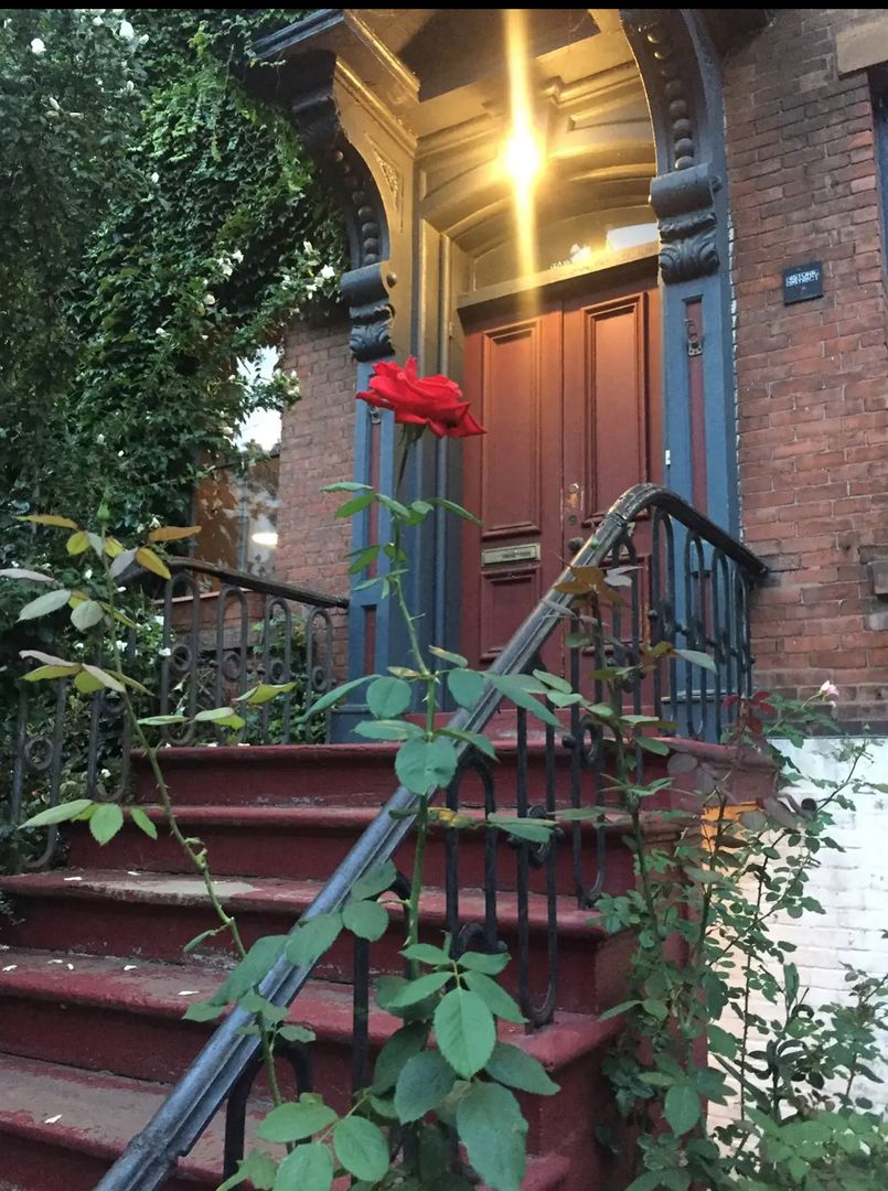New Haven Apartment: 17 Court Street