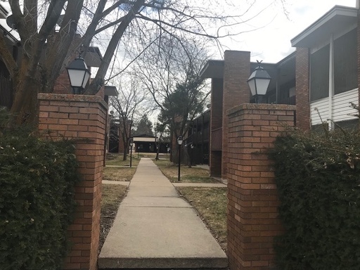 Beautifully updated apartment, new flooring and paint throughout