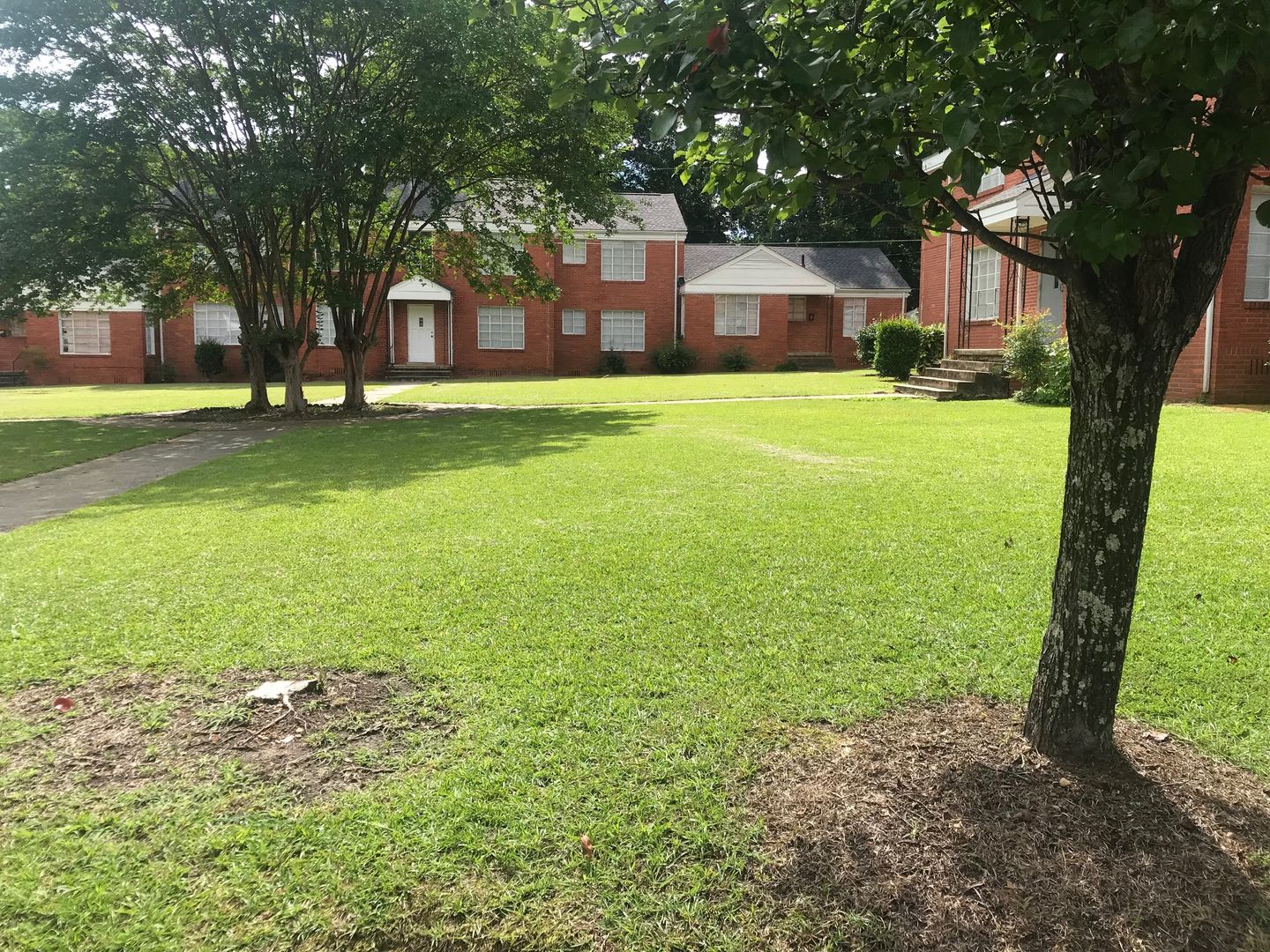 Greenville Apartment: N. Perry St.