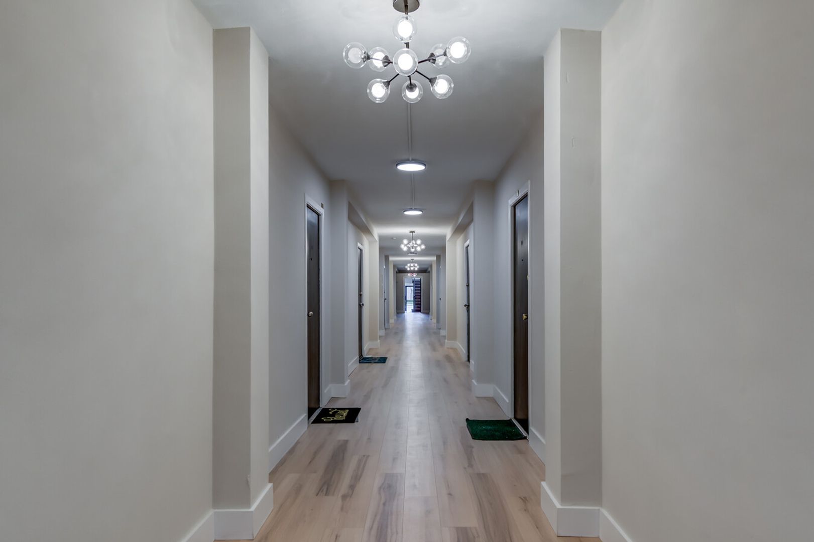 St. Louis Apartment: 6244 Oakland Ave