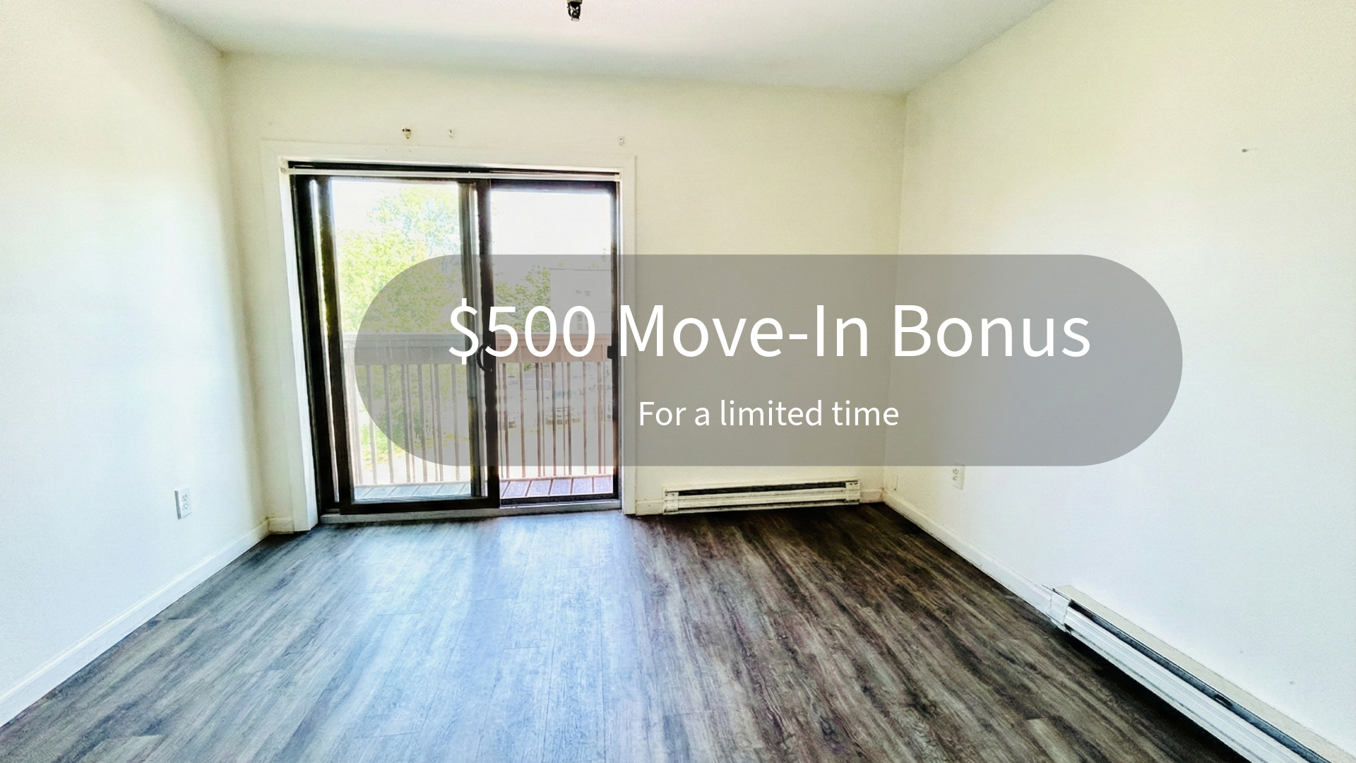 Burlington Apartment: 37 S. Williams Street