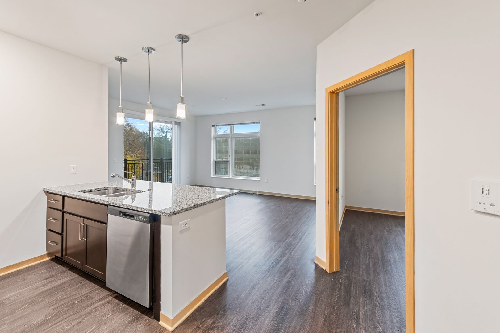 Madison Apartment: 1121 South Park Street