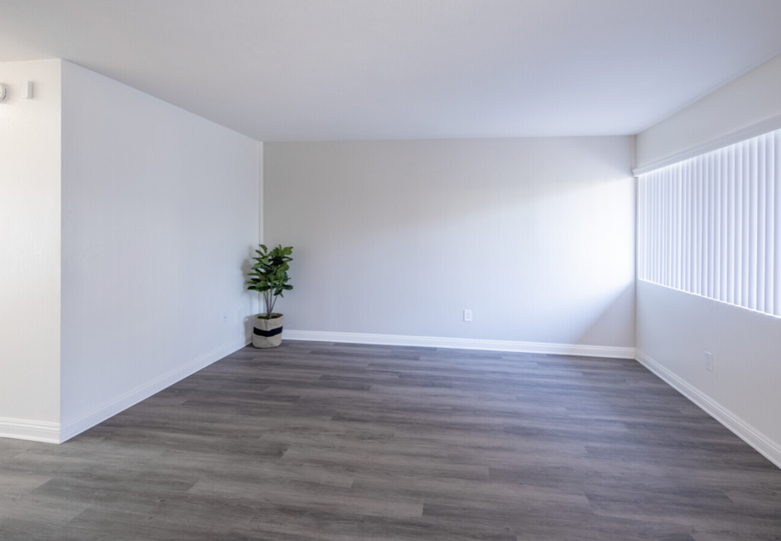 Artesia Apartment: 11562 186th Street
