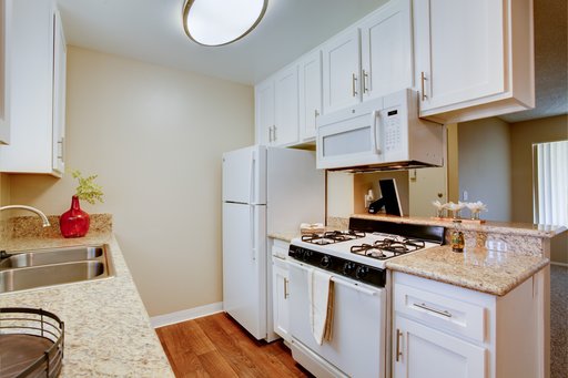 Renovated 1 Bedroom, 1 Bathroom
