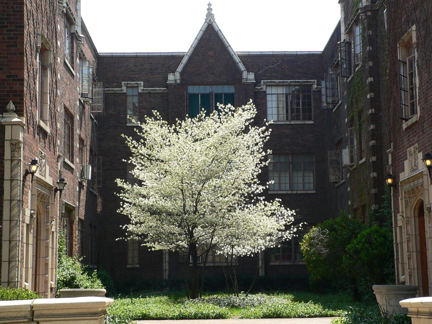 Columbus Apartment: 775 E. Broad Street