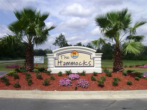 College Property Rental - Fall - Future Unit - Hammocks, Statesboro, GA 30458