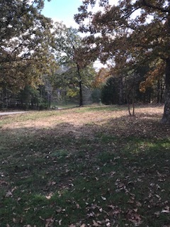 Great home with lots of extras!