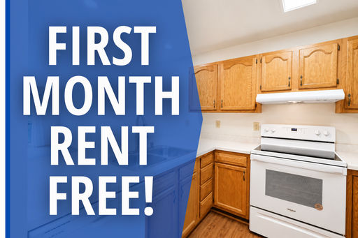1 Bed / 1 Bath Apartment at Timber Bluff - FIRST MONTH FREE! – photo 1
