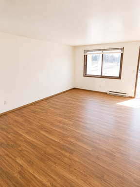 Studio Apartment in Wisconsin Rapids – photo 1