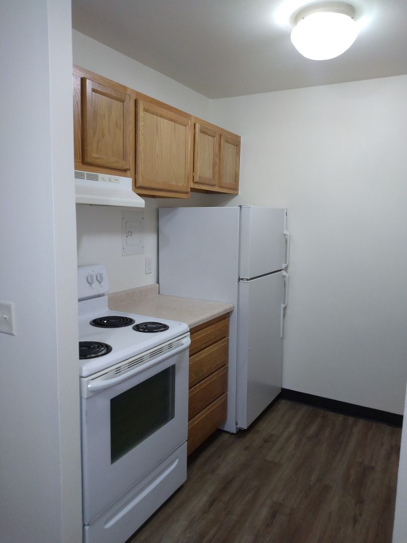 Sun Prairie Apartment: 242 Amber Trail