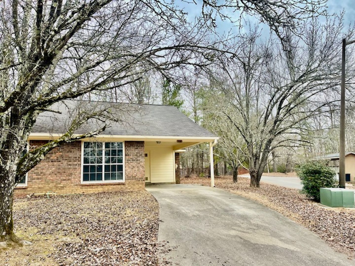 Rome Apartment: Conifer Ring #1