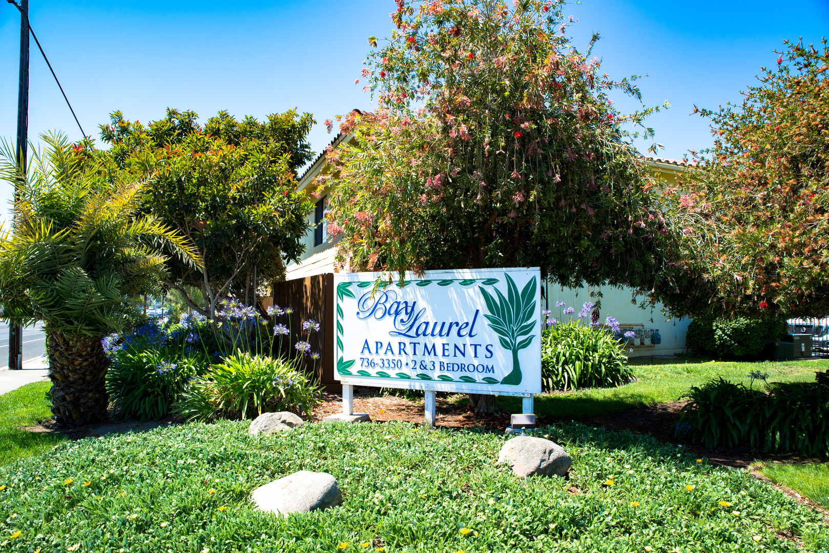 Lompoc Apartment: Bay Laurel