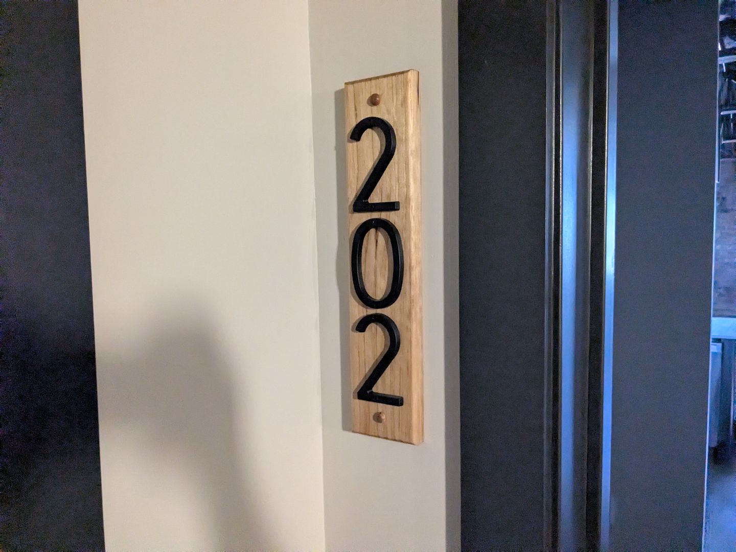 Pulaski Apartment: 34 1st St NE