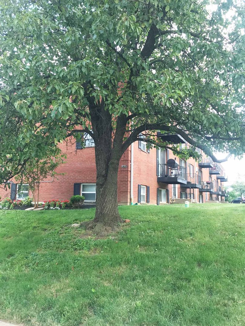 Cincinnati Apartment: 830 Beecher Street