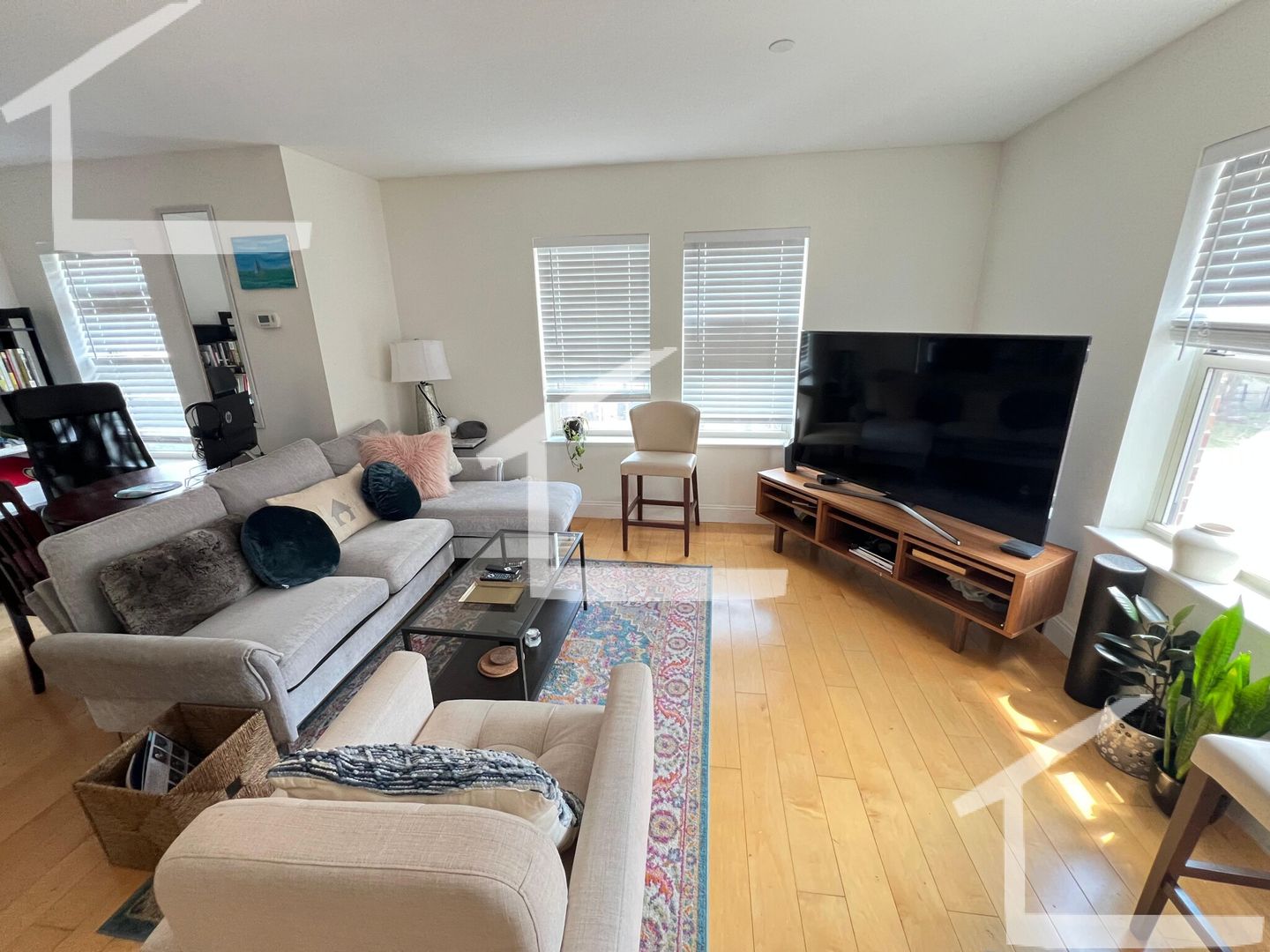 Boston Condo: 991 Tremont St.,