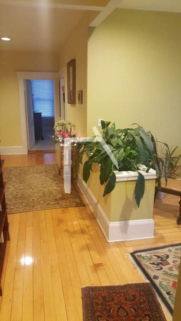 Boston Condo: 1175 Commonwealth Ave.,