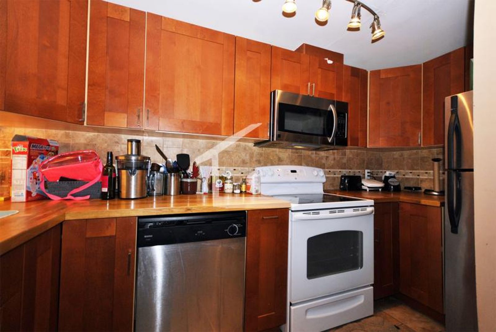 Boston Condo: 33 Brainerd Rd.,