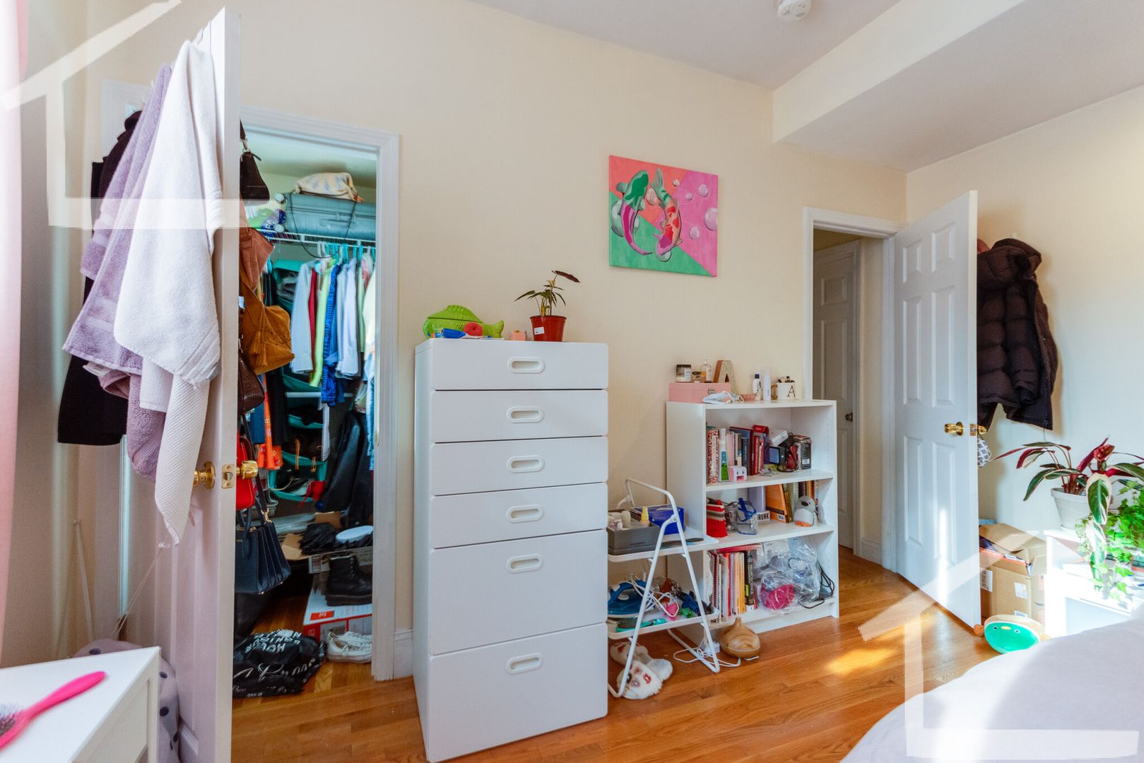 Brookline Condo: 62 Egmont St.