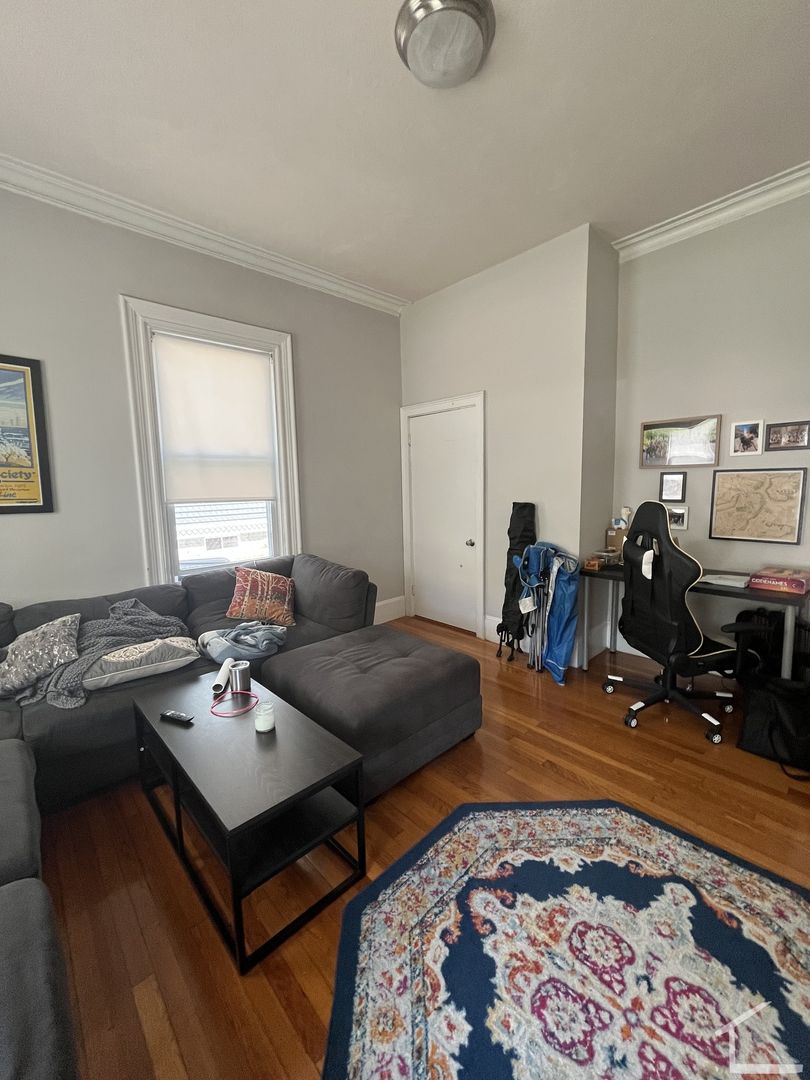 Boston Condo: 172 Bigelow St
