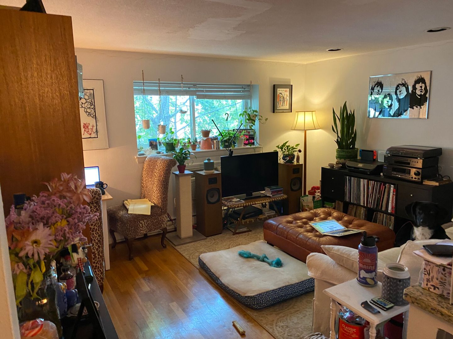 Boston Condo: 15 Euston Rd.,
